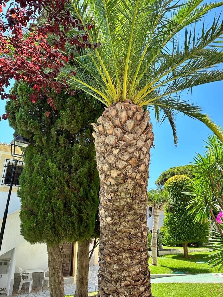 Casa De Emilia Vera Coast Playas de Vera Ngoại thất bức ảnh