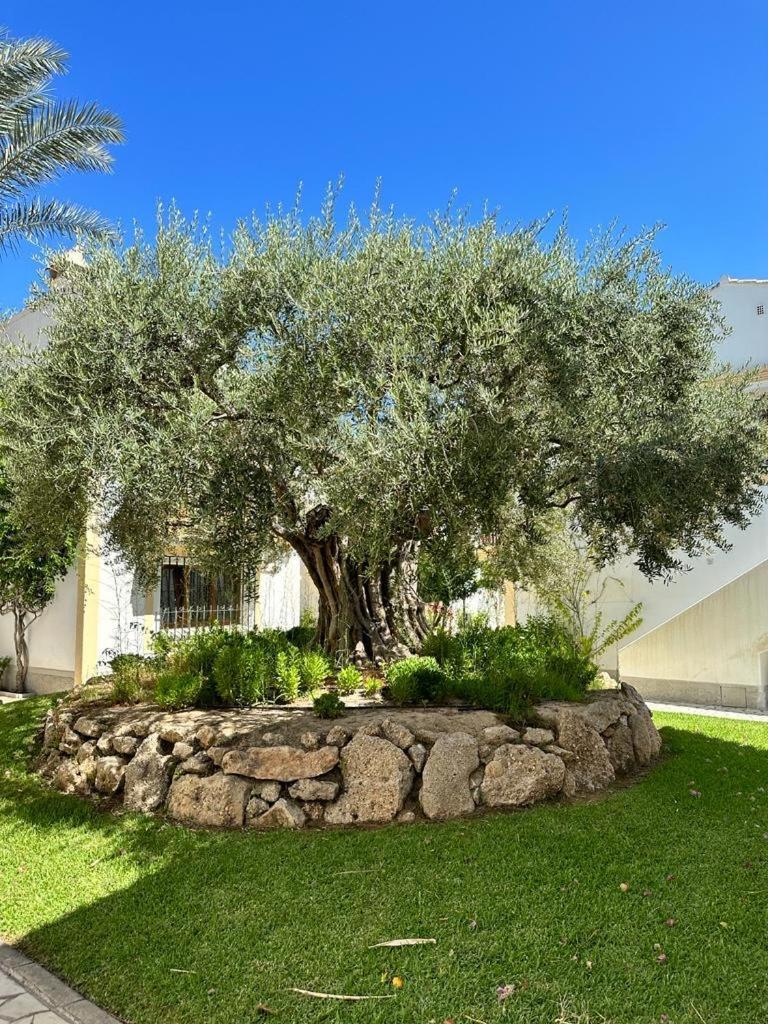Casa De Emilia Vera Coast Playas de Vera Ngoại thất bức ảnh